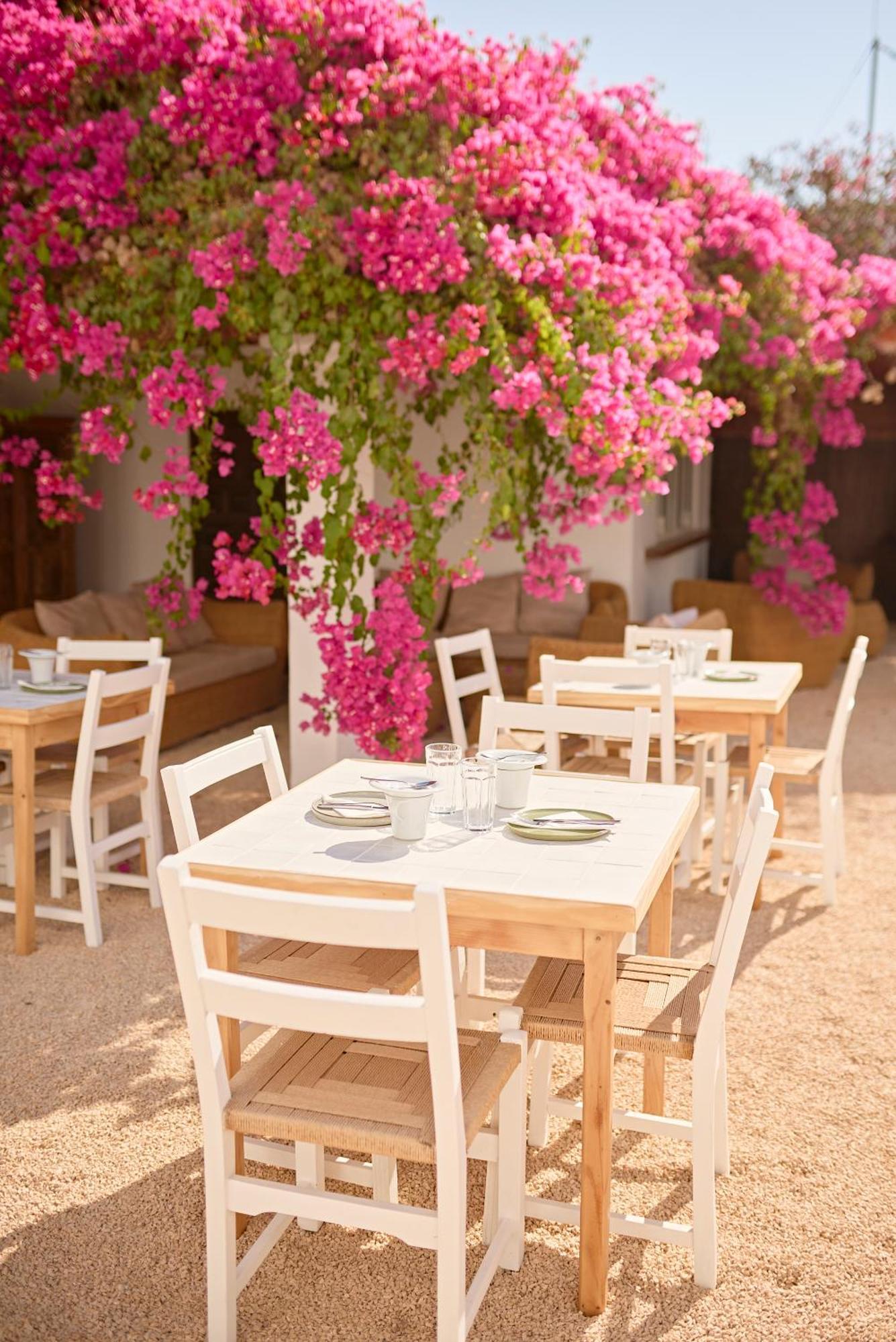 Ibara Ibiza Hotel Boutique Es Cana Exteriér fotografie